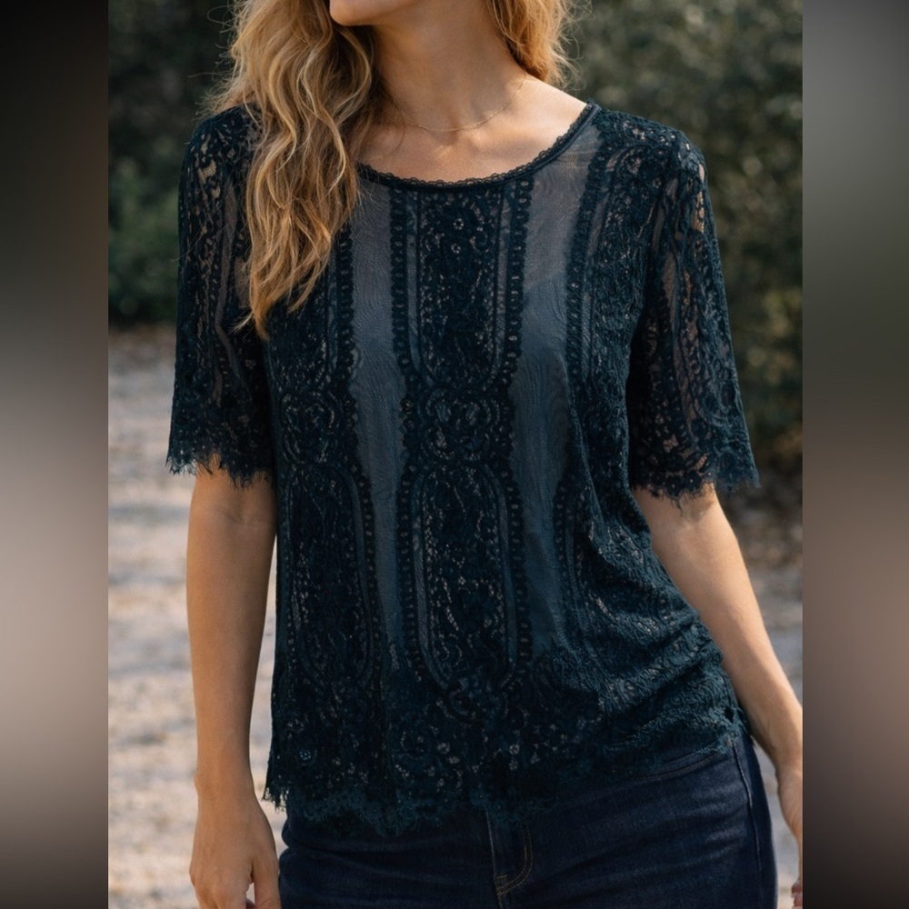 Beautiful Blue Sheer Lace Daytrip Short-Sleeved Top Size Large